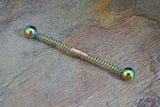 Rainbow Twisted Rope Industrial Barbell 14g Scaffold