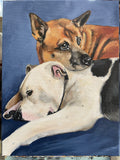 9x12 Inch Pet Portrait