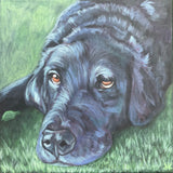 8x8 Inch Pet Portrait