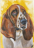 5x7 Inch Pet Portrait