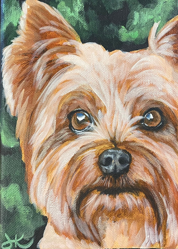 5x7 Inch Pet Portrait