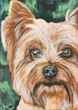 5x7 Inch Pet Portrait