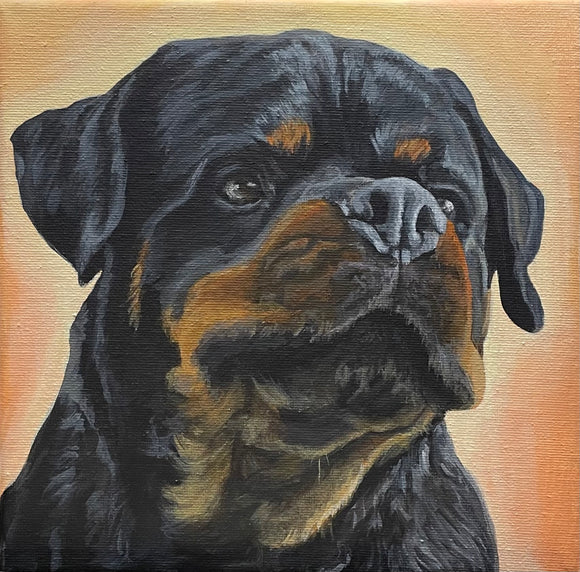 8x8 Inch Pet Portrait