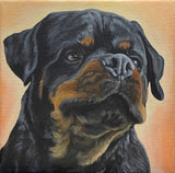 8x8 Inch Pet Portrait