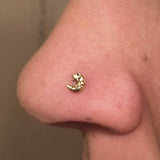 14kt Gold Nose Ring Gold Nose Stud Lunar Moon and Stars