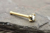 20g Metallic Bronze Gold Nose Stud Gold Nose Ring