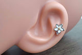 White Daisy Flower 16g Cartilage Tragus Helix Earring