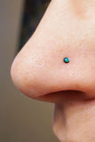 Opal Nose Stud 18g Blue Opal Tiny Black Nose Ring